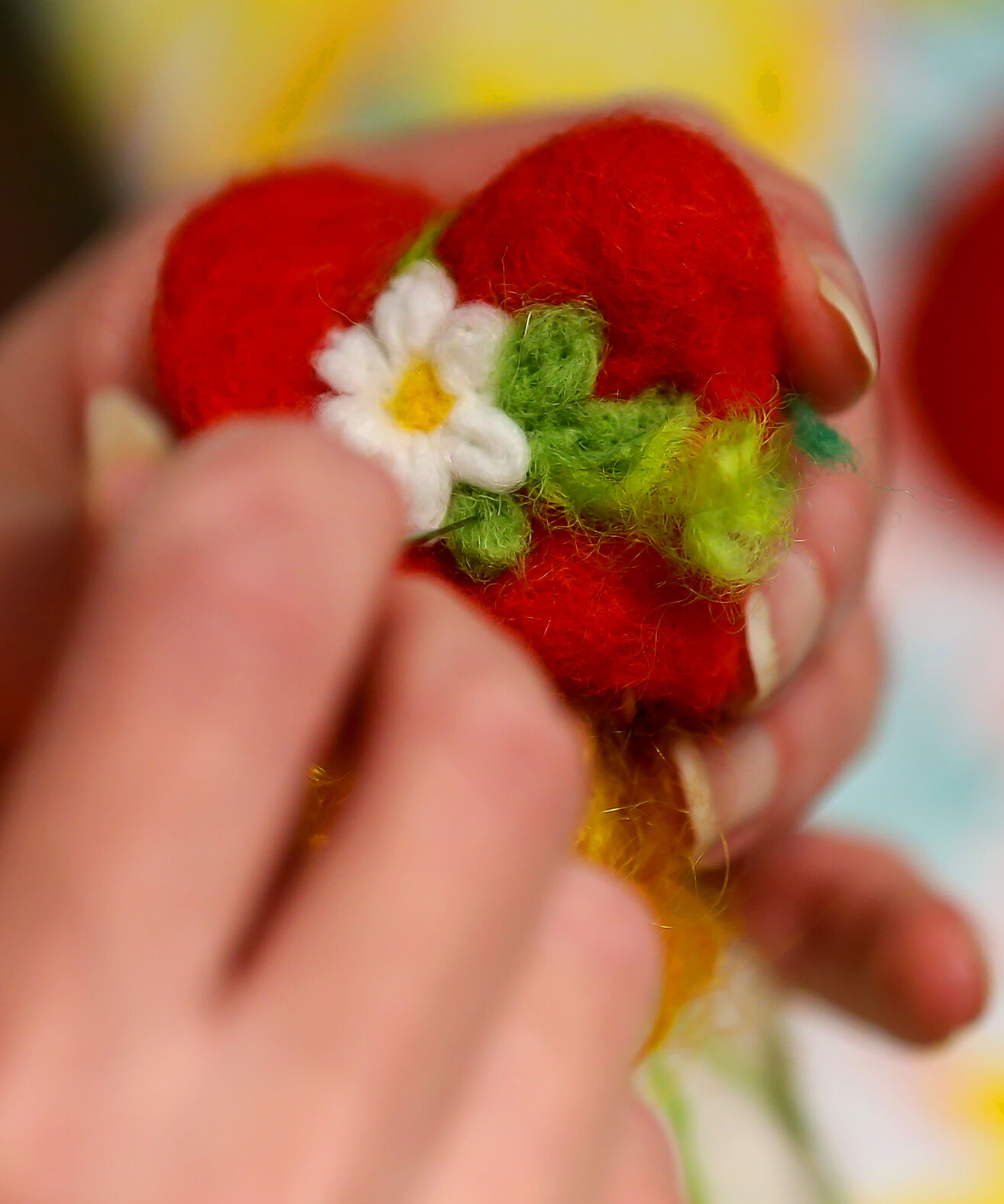 Iaroslava Soboleva, Ukrainian felt artist